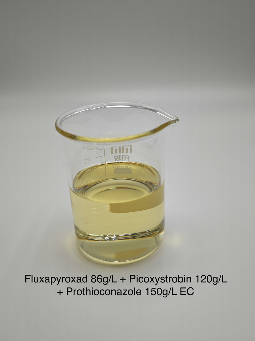 Fluxapyroxad 86g/L + Picoxystrobin 120g/L + Prothioconazole 150g/L EC